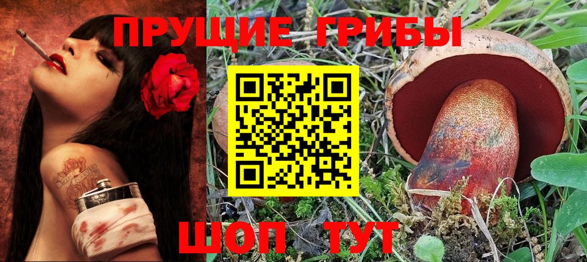 Галлюциногенные грибы GOLDEN TEACHER Гусиноозёрск